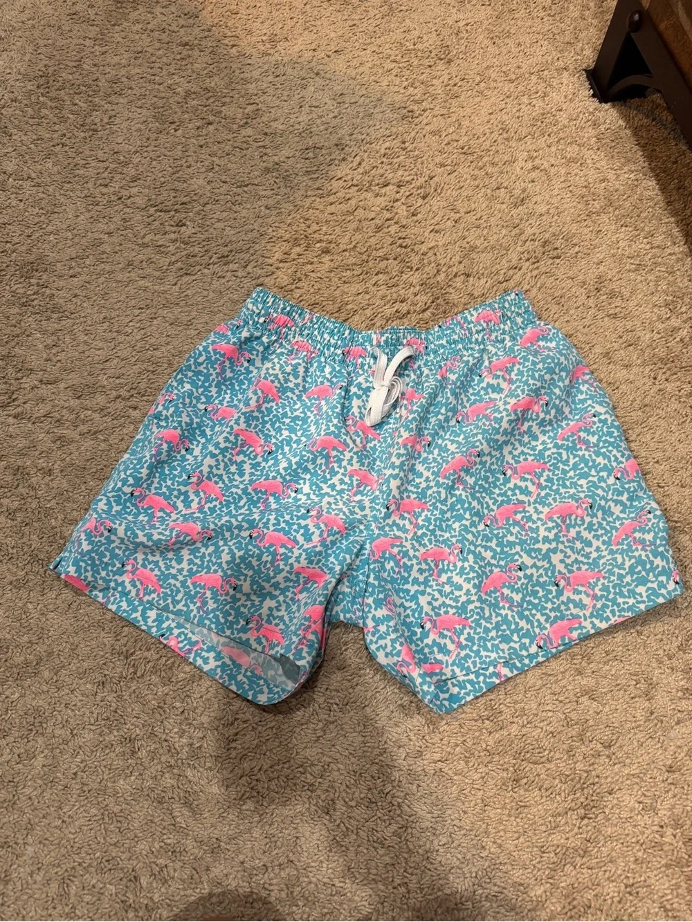 Chubbies Men’s 5.5inch Swim Trunks Lined